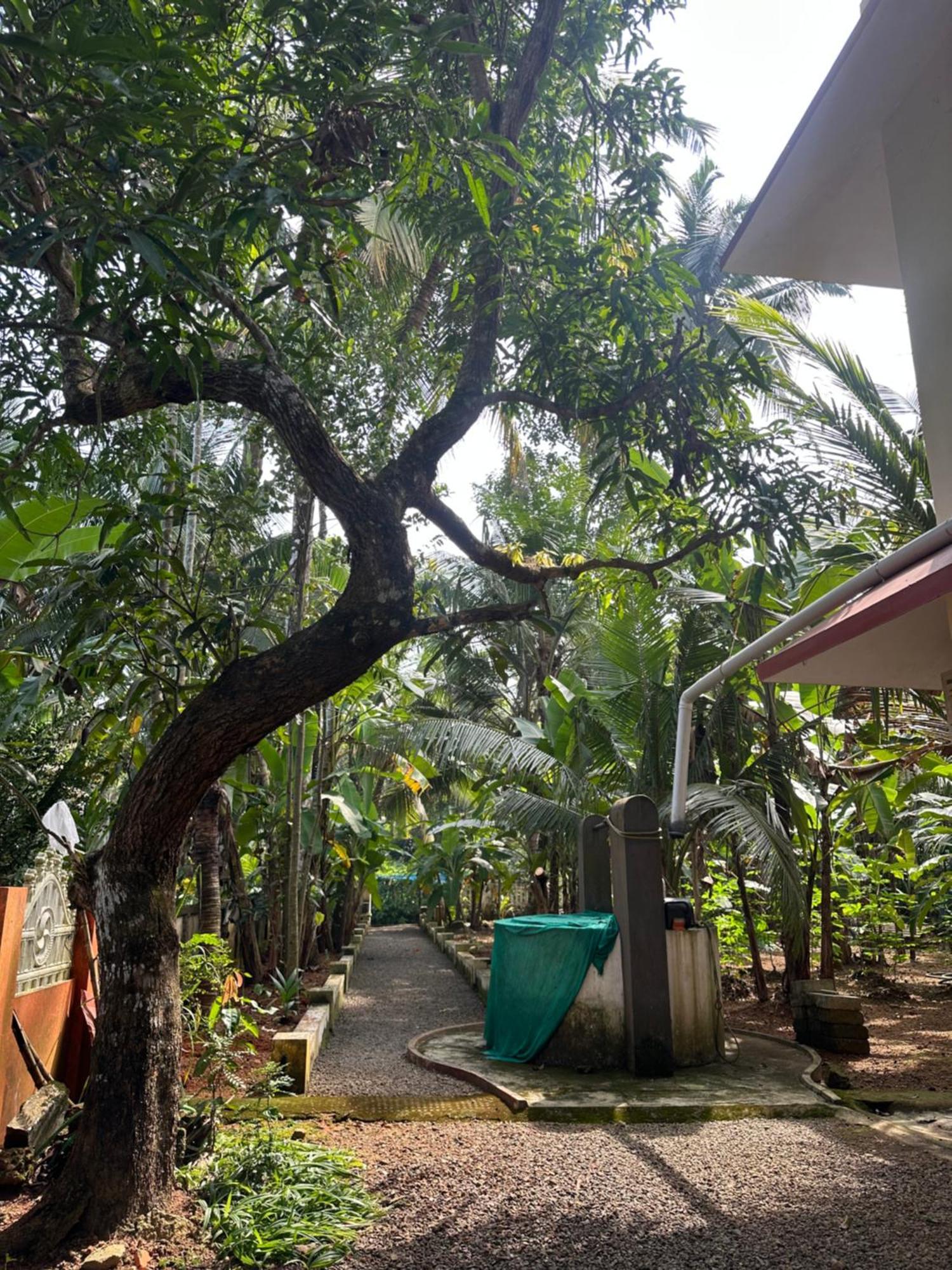 Homestay Prabhalayam *